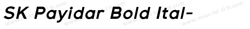 SK Payidar Bold Ital字体转换